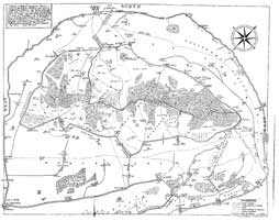 Stalbridge Park wall